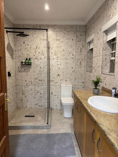 a bathroom with a shower with a toilet and a sink at Villa Euris Guesthouse in Brits