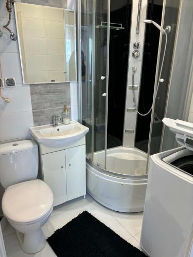 a bathroom with a shower and a toilet and a sink at Apartament Mostowa in Brodnica