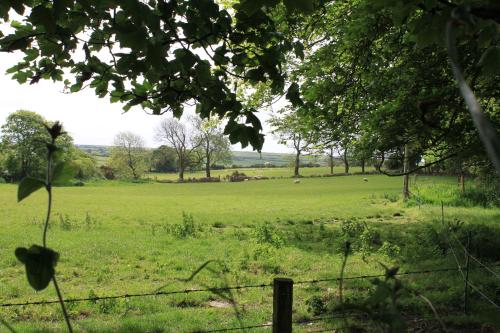 a fence in a field with sheep in the distance at Ty Llwyd in Treffynnon 