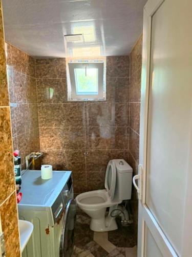 a small bathroom with a toilet and a sink at Guesthouse Tetnuldi in Kʼolashi