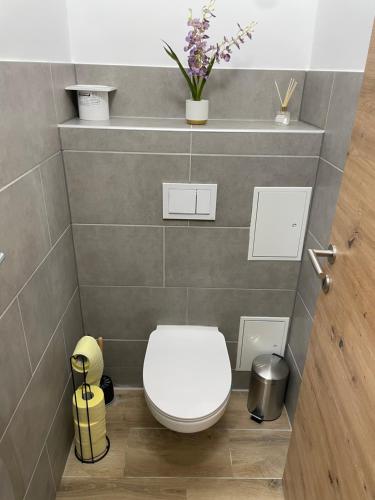 a bathroom with a toilet with a white toilet seat at Alpinchalet Eisenerz in Eisenerz