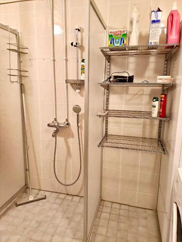 a bathroom with a shower with a glass door at Erillinen talo Kiuru in Nilsiä