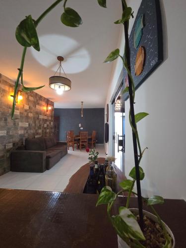 a plant sitting on a table in a living room at Anexo da Paz Tucuns Búzios in Búzios