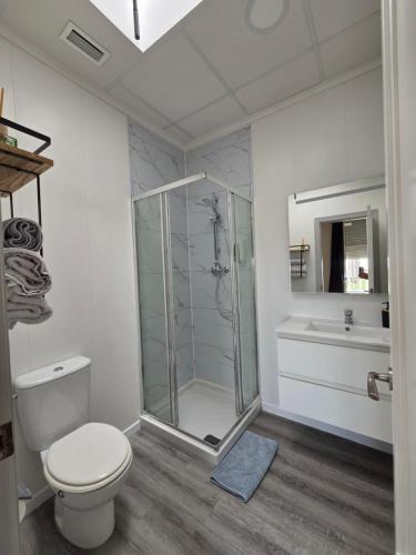 a bathroom with a shower and a toilet and a sink at Hotel La Oficina in San Miguel de Salinas