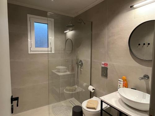a bathroom with a shower and a toilet and a sink at Mirror Villas in Dhorizáta