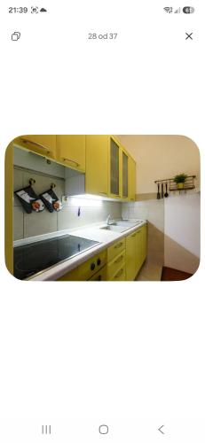 Apartman Tea