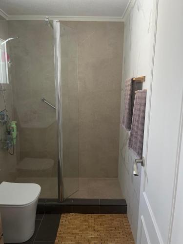 a bathroom with a shower and a toilet at Las Carolinas residence with pool in San Miguel de Salinas