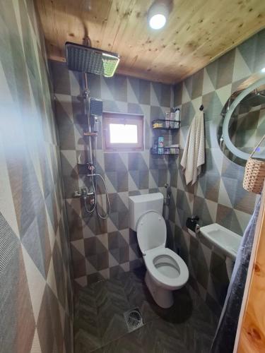 a small bathroom with a toilet and a sink at Brvnara Mia in Rudnik