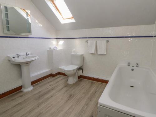 a bathroom with a toilet and a sink at Glanyrafon in Rhayader