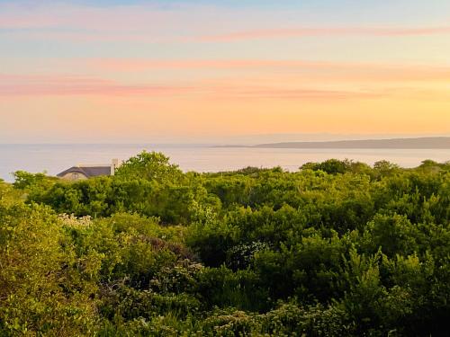 a view of the ocean from a hill with trees at Wild Comforts at Springerbaai in Boggomsbaai
