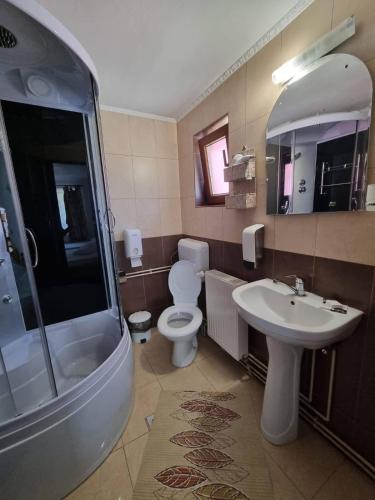a bathroom with a toilet and a sink and a shower at Cabana Diana&Larisa in Arieşeni