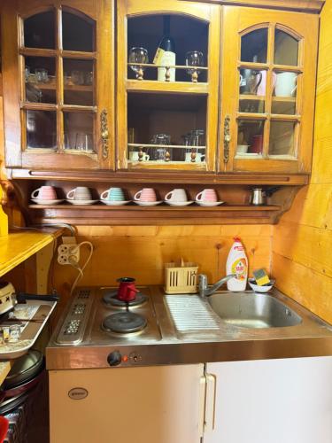 a kitchen with a sink and a counter top at Planinska Koliba Mo in Katun Božički
