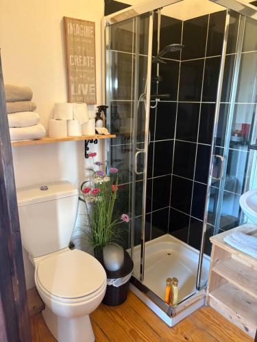 a bathroom with a toilet and a shower at THE FARMHOUSE Room 1 in Balcunnin