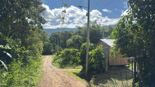 a dirt road with a house on the side of it at Shua Kasi Mindo in Mindo