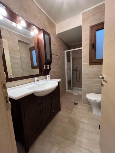 a bathroom with a sink and a toilet and a mirror at Psichro Apartments Hera in Magoulás