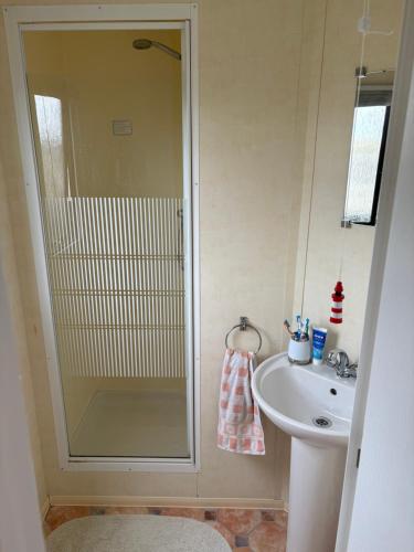 a bathroom with a shower and a sink at Jay Valley Van in Flamborough