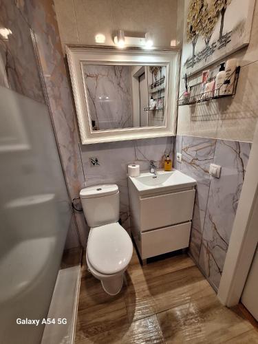 a bathroom with a toilet and a sink and a mirror at Apartamento en Buhardilla de Casa Andaluza in Bollullos de la Mitación