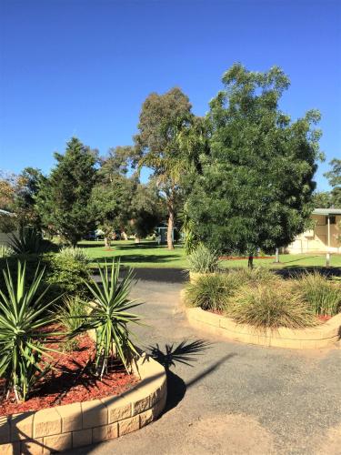 Jardín al aire libre en Junee Tourist Park