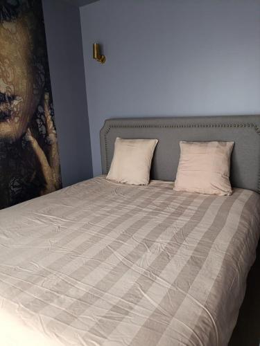 a bed with two pillows and a painting on the wall at L'Avant-Première Chic 40m2 with Parking in Évreux