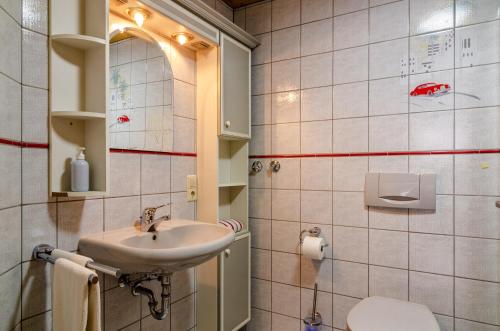 a bathroom with a sink and a toilet at Schwarzwald Nescht Triberg in Triberg