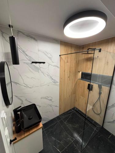 a bathroom with a shower with a glass door at Apartament Słowik Lux in Rowy