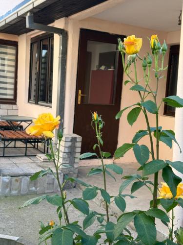 a plant with yellow roses in front of a house at Loret in Kragujevac