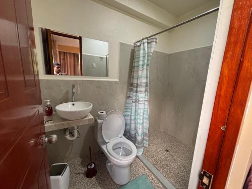 a small bathroom with a toilet and a sink at TUMI Villa Salkantay in Colcapampa