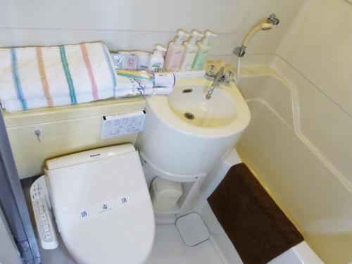 a small bathroom with a toilet and a sink at Kawaguchiko Lakeside Hotel in Fujikawaguchiko