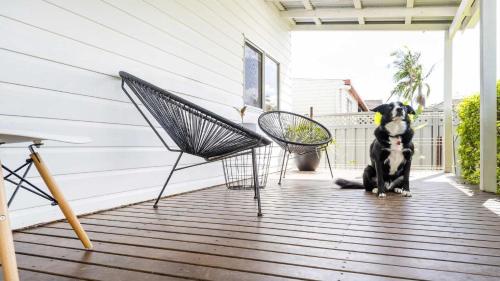 a dog sitting on a porch with two chairs at Leonards Beachshack - Lifestyle Yamba in Yamba