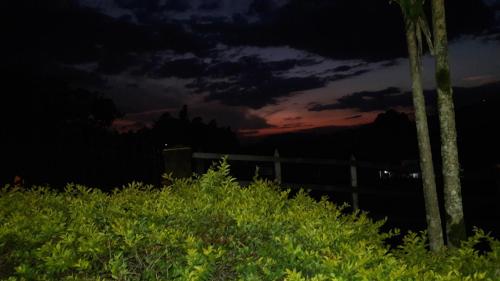a night sky with a fence and palm trees at Hotel Campestre Villa Mary in Santa Rosa de Cabal