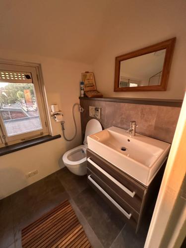 a bathroom with a sink and a toilet and a mirror at Tim's Place in Groesbeek