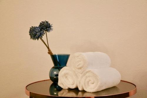 Hassamu 3 Jo 1-11-1 Corole Kotoni - Vacation STAY 11469