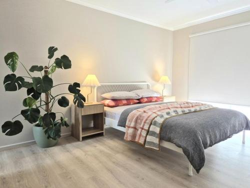 a bedroom with a bed and a potted plant at Ramsay House in Port Vincent