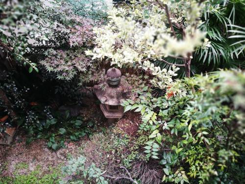 oonishi - Vacation STAY 23299v