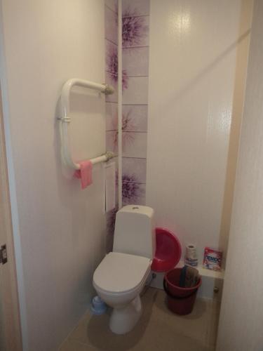キーロフにあるApartments Azina 17のピンクの壁のバスルーム(トイレ付)