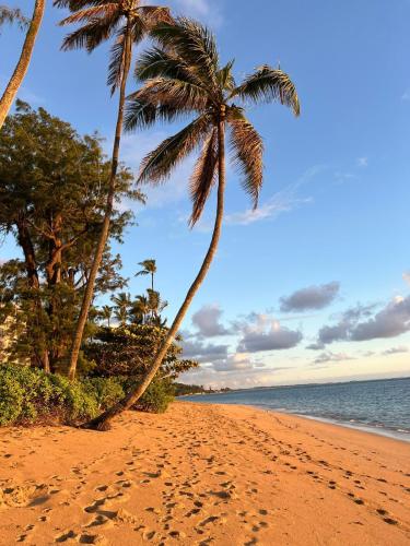 two palm trees on a beach with footprints in the sand at Wake Up to the Ocean - Beachfront Studio in Hauula