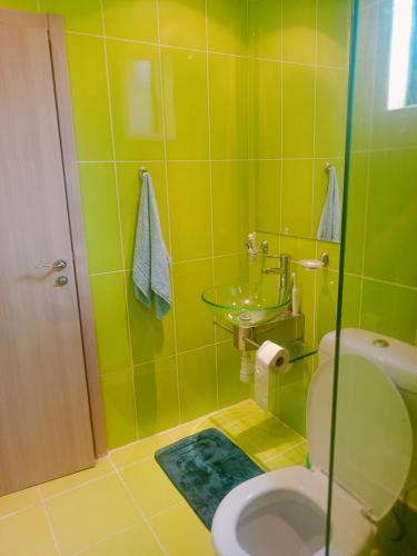 a green bathroom with a toilet and a sink at Къща Уют in Rogachevo