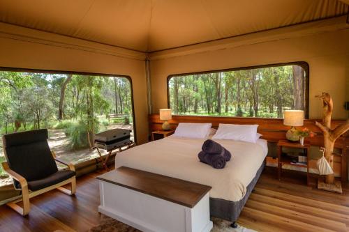 a bedroom with a bed and a chair and two large windows at Wallaroo Outback Retreat - Glamping Tents Carnarvon Gorge in Hutton