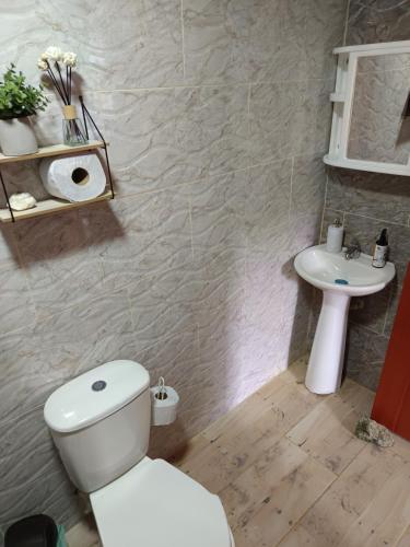 a bathroom with a toilet and a sink at Apartaestudio Queremal in Papagalleros