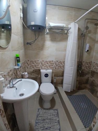 a bathroom with a toilet and a sink and a shower at Archa Hotel Kochkor in Kochkorka