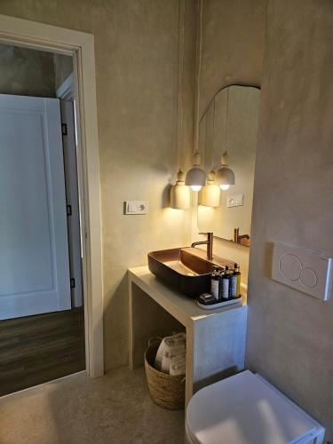 a bathroom with a sink and a mirror at PineHills in Mărişel