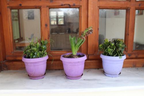 Gambar di galeri bagi Felia Villa di Stavros