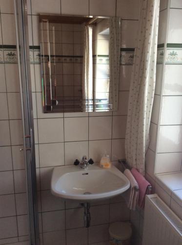 a bathroom with a sink and a mirror at Ferienhaus Niederl in Golling an der Salzach