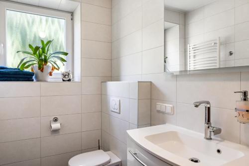 a bathroom with a sink and a toilet and a window at Belroki Ranch in Waldeck