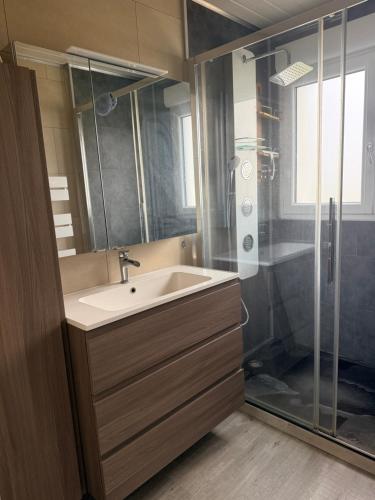 a bathroom with a sink and a shower at Le Clos Tranquille in Saint-Privé