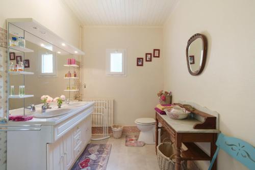 a bathroom with a sink and a mirror and a toilet at Le Bois Du Mas in Saint-Aulaye