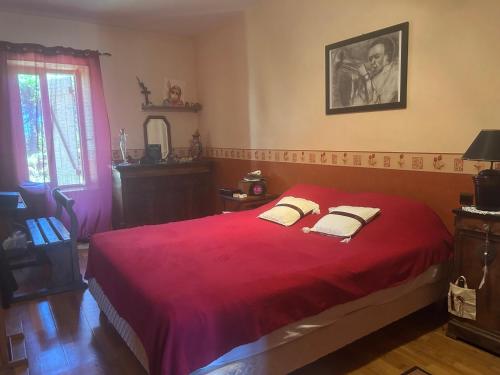 a bedroom with a red bed with two pillows on it at La maison bleue de Béa in Musigny