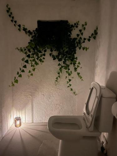 a bathroom with a toilet with a plant on the wall at Aluna Camp in Nudo