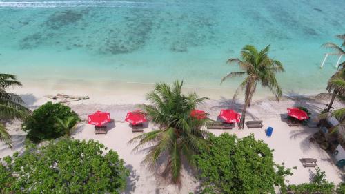 an aerial view of a beach with chairs and palm trees at The Oceanview Grand at Hulumale and Male in Hulhumale