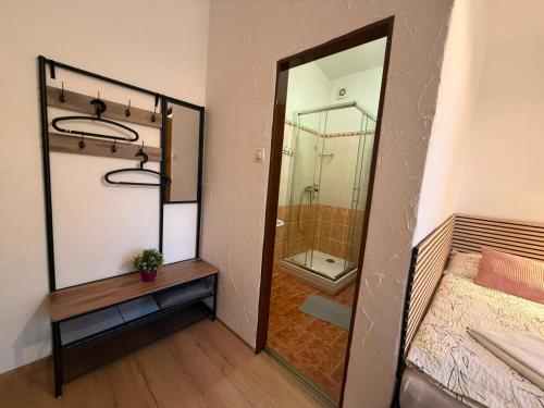 a bathroom with a mirror and a walk in shower at Penzion V Hájku in Vřesina